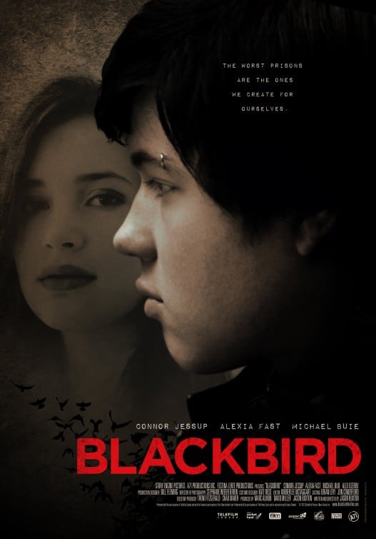 Affiche Blackbird